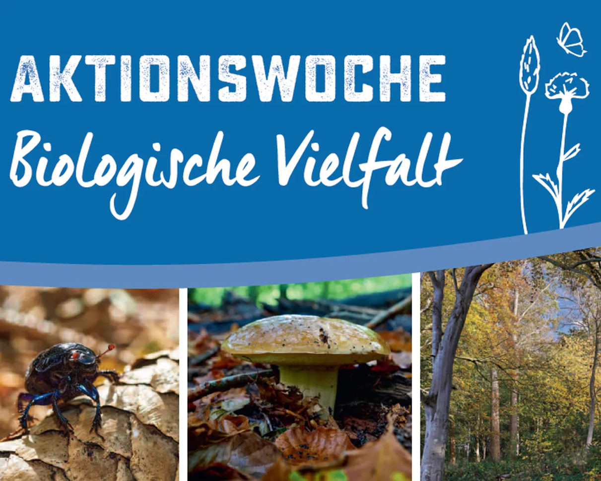 Aktionswoche Biologische Vielfalt 2026